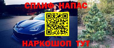 прущие крисы Донской