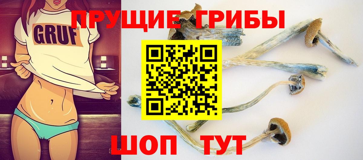 Нефтеюганск  Галлюциногенные грибы Magic Shrooms  Вход с VPN 